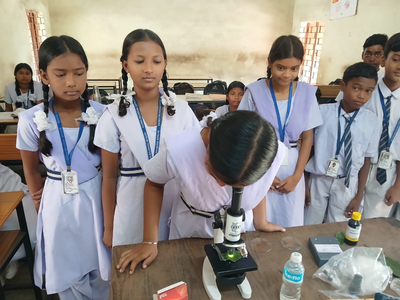 Science Experiments 